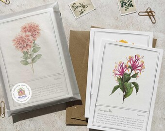 Tarjetas y sobres plegables con flores botánicas, rosa, naranja y amarillo (juego de 6)