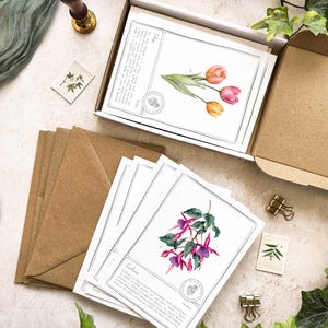 Puede incluir: Un juego de tarjetas de felicitación con temática botánica y sobres. Las tarjetas presentan ilustraciones de acuarela de flores, incluyendo tulipanes y fucsias, con texto. Se incluyen sobres de papel kraft y una caja.