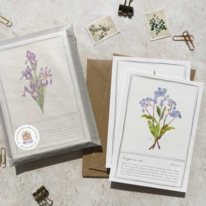 Puede incluir: Juego de tarjetas y sobres florales en blanco. Las tarjetas presentan ilustraciones botánicas de iris y nomeolvides. Las tarjetas están empaquetadas en una funda transparente, con tarjetas adicionales y sobres marrones.