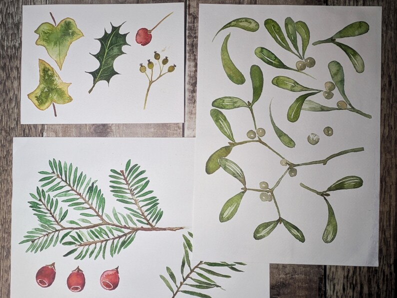 May include: Watercolor illustrations of various botanical elements, including ivy, holly, mistletoe, and evergreen branches with red berries. The artwork is on white paper, with a wooden background.