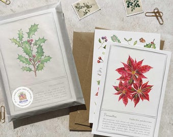 May include: A set of blank cards featuring botanical illustrations of holly and poinsettias. The holly card is packaged in a clear sleeve, while the poinsettia card is displayed with other botanical-themed cards and a brown envelope. Gold paper clips and stamps are scattered around.