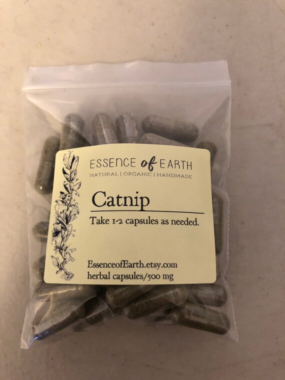 Catnip Capsules. Herbal Capsules. 500 Mg Capsules. No Filler. Etsy