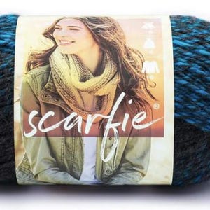 Lion Brand Yarn - Scarfie - Charcoal/Aqua - New and Unused - Destash