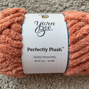 May include: A skein of dusty terracotta Yarn Bee Perfectly Plush yarn with a white paper label featuring a bee icon, the brand name, and text stating Net Wt. 10 oz and 56 yard. The yarn has a thick, soft, and fuzzy texture throughout the ball.