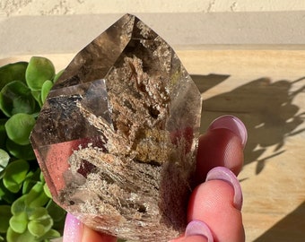 Stunning smoky garden quartz freeform polished lodolite lens