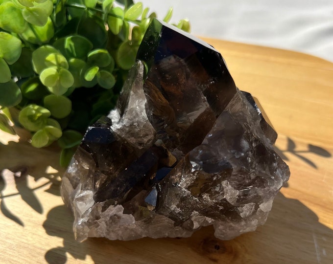 Featured listing image: stunning natural raw dark smoky quartz cluster | big rough smoky chunk with large points | 2 lbs.