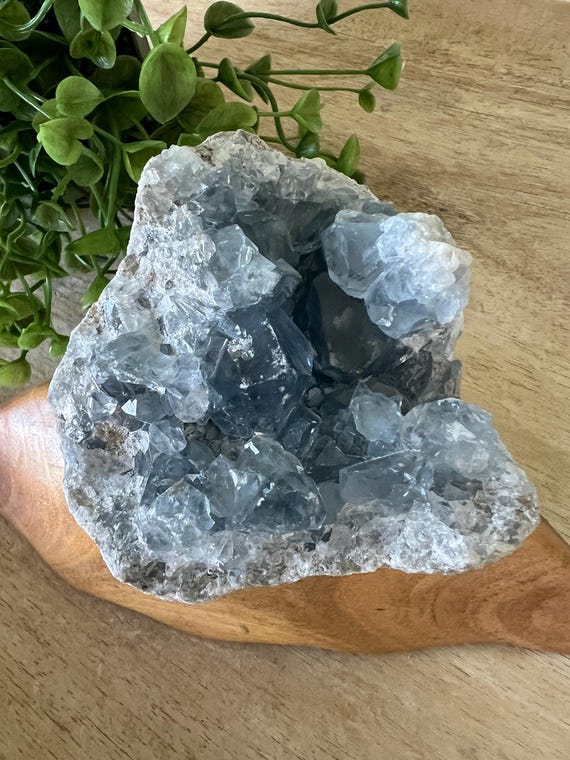 Raw celestite cluster large chunky teeth deep blue crystal geode rough celestite over 1 lb. raw celestite Freeform
