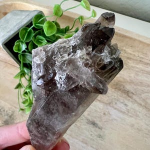 Smoky quartz point |  large rough smokey point 4 inch | stunning clear smoky cluster | raw crystals