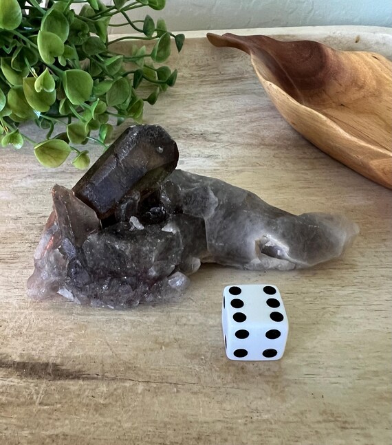 High grade natural raw dark smoky quartz cluster  large rough smoky polished points twin point wand scepter 4.5 inch