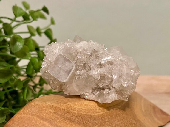 Diamond apophyllite cluster with clear points | crystals | natural crystals | rough crystal