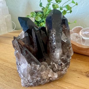 stunning natural raw dark smoky quartz cluster | Very Gemy six smoky points from Brazil | 6 points