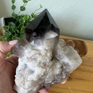 natural smokey quartz cluster | Very Gemy large smoky quartz point  | huge dark smoky point | 2lbs.