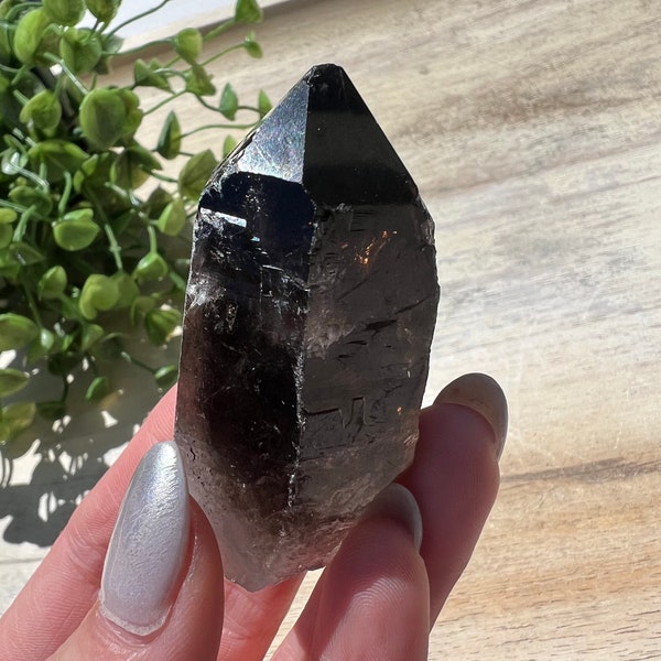 High grade natural raw dark smoky quartz point |  large rough smoky polished points pendants