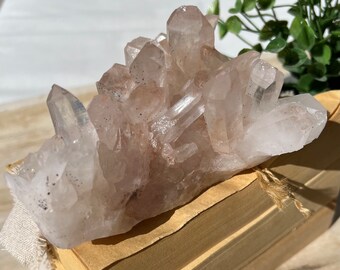 XL Soothing deep pink Himalayan quartz cluster | large stunning clear points with pink hues | rough quartz from India 5x3