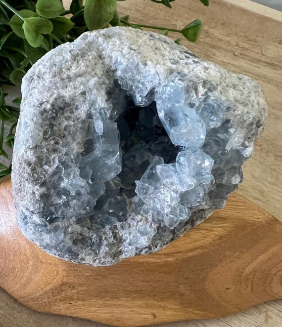 celestite cluster large chunky teeth blue crystal geode raw celestite crystal cave 3 x 3 inch 1 lb. 2 oz.