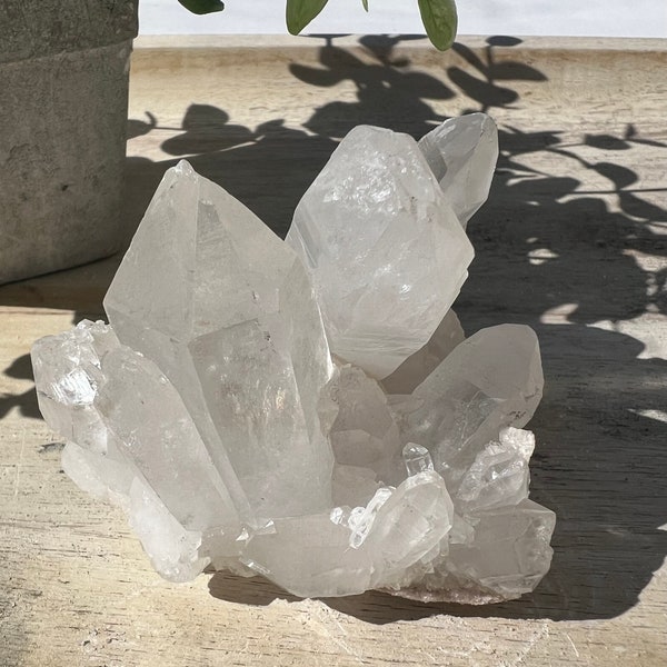 Lovely clear Tibetan quartz cluster with tons of points | Himalayan quartz dimensions are 3 x 2.5 inch