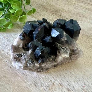 Cluster di quarzo fumé grezzo / punte fumé dal Brasile / cristallo grezzo