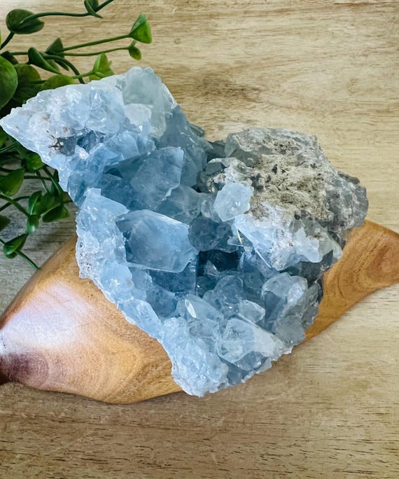 celestite cluster large chunky teeth blue crystal geode raw celestite 4 x 3 inch over 1 lb.