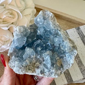 Raw Celestite Cluster: Deep Blue Crystal Geode, Madagascar