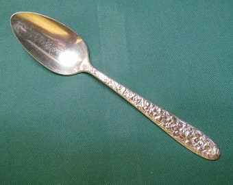 Narzisse Teelöffel von National Silver Co., SIGNIFICANT HEEL WEAR, Vintage Silver Plate Besteck