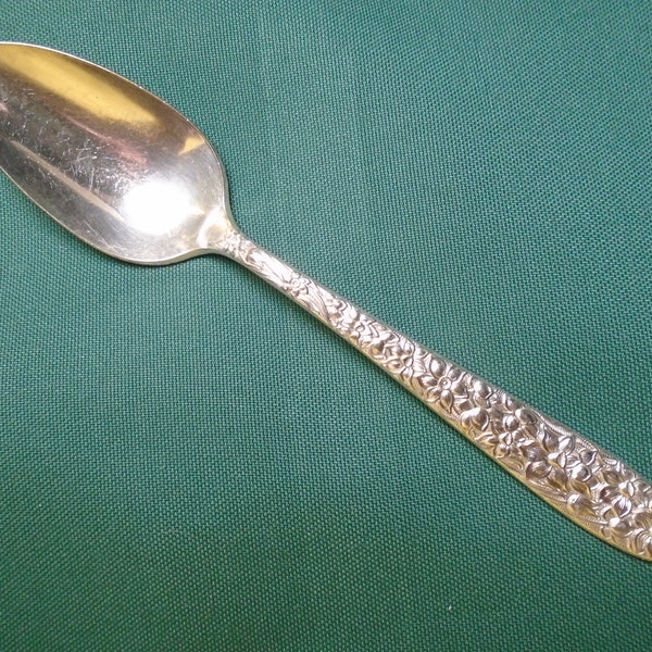 Narcissus Teaspoon by National Silver Co., SIGNIFICANT HEEL WEAR, Vintage Silver Plate Flatware