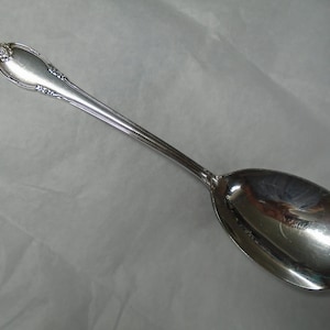 Remembrance Large Casserole Spoon, 9&quot;, 1847 Rogers International Silverplate ~ FS