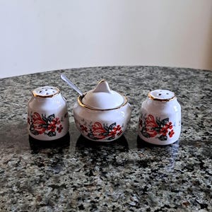 Könnte beinhalten: Ein weißes Keramik-Salz- und Pfefferstreuer-Set und eine Zuckerdose mit Deckel. Jedes Stück ist mit einem roten Blumenmuster und goldenen Verzierungen verziert. Ein kleiner Löffel liegt in der Zuckerdose.
