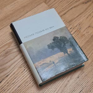 Anthologie de poésie, livre de poésie russe du XIXe siècle, uvres de poètes célèbres, anthologie d'écrivains russes, Tioutchev, Fet, Polonskij, Surikov