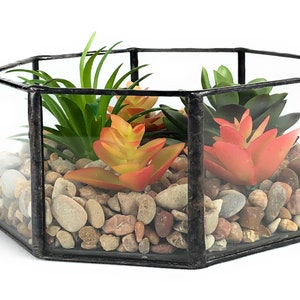 Terrarium DIY Kit Handmade Clear Glass Octagonal Planter