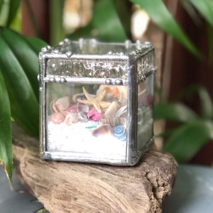 May include: A small glass box with a silver frame filled with sand, seashells, and a starfish. The box is sitting on a piece of driftwood.