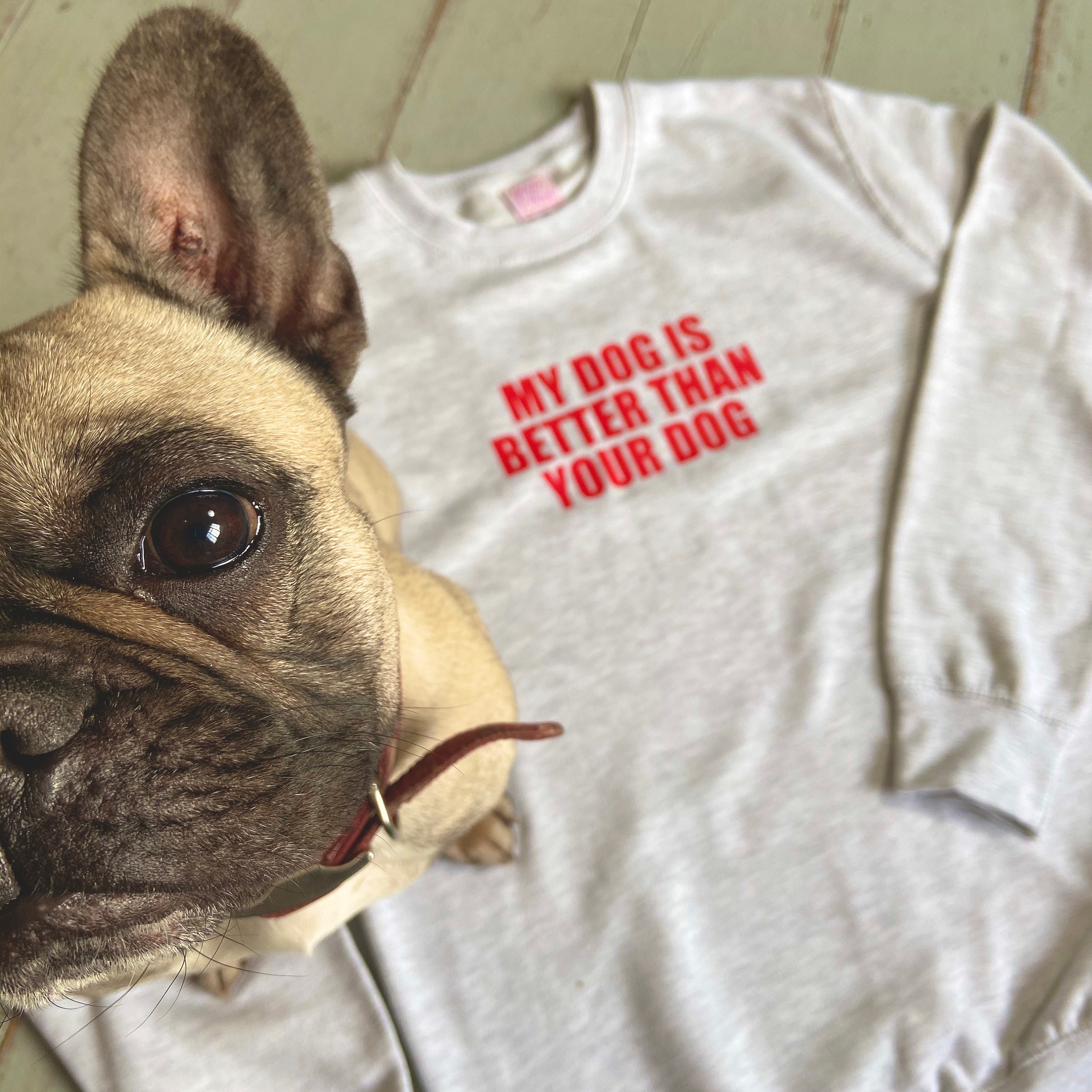 My dog is better than your dog Slogan Unisex Light Grey | Etsy