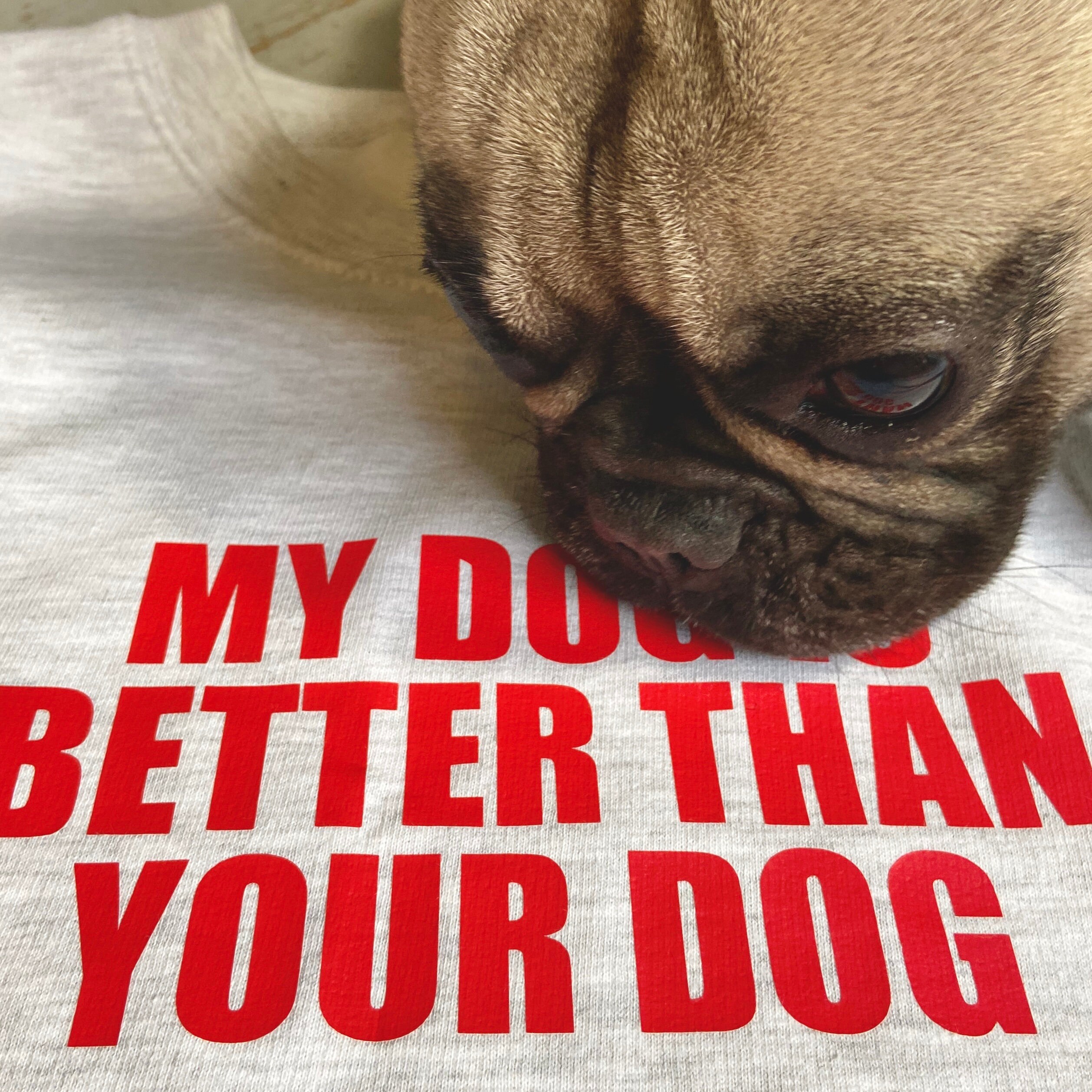 My dog is better than your dog Slogan Unisex Light Grey | Etsy