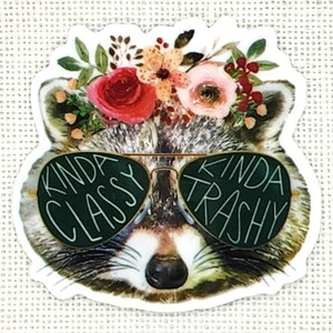 Raccoon, Classy, Trashy, Flowers, Needle Minder, Cross Stitch, Stitching, Stitcher, Sewing, Stitch, Tapestry Needle, Embroidery, Fridge
