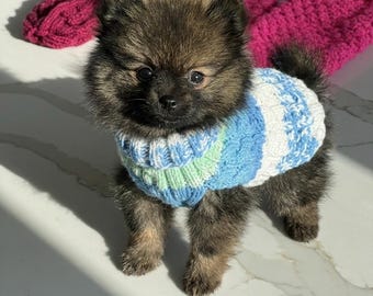7 inch Hand Knitted Chihuahua Puppy Dog Jumper: Machine Washable Small Pet Coat