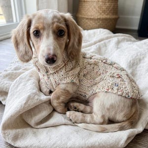 10” Hand Knitted Dog Pullover: Wool Mix Cable Knit Sweater for Dachshunds