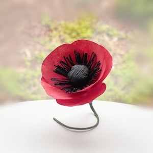 Paper Poppies - Paper flowers