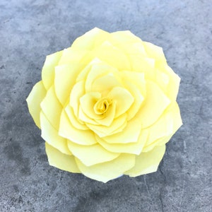 Lotus flowers - Paper lotus