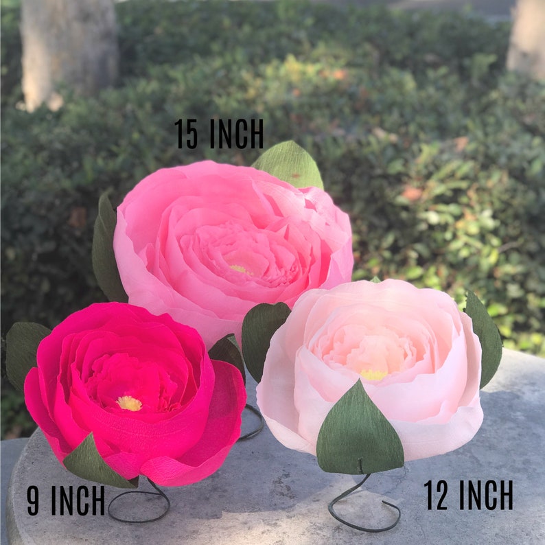 Paper Peony in Many Color Choices