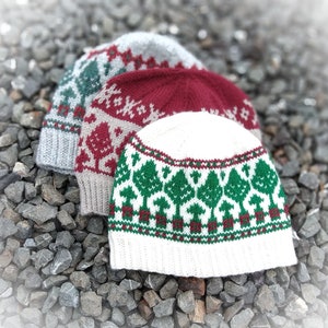 Beanie HAT- KNITTING pattern - FILE - 3 sizes- Skipton ADVENTure