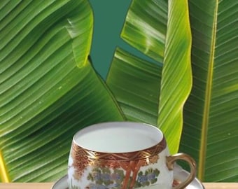 Asian Demitasse Cup Set Vintage Lithopane Bird Porcelain Teacup w Saucer Asian Decor Hidden Geisha in Bottom