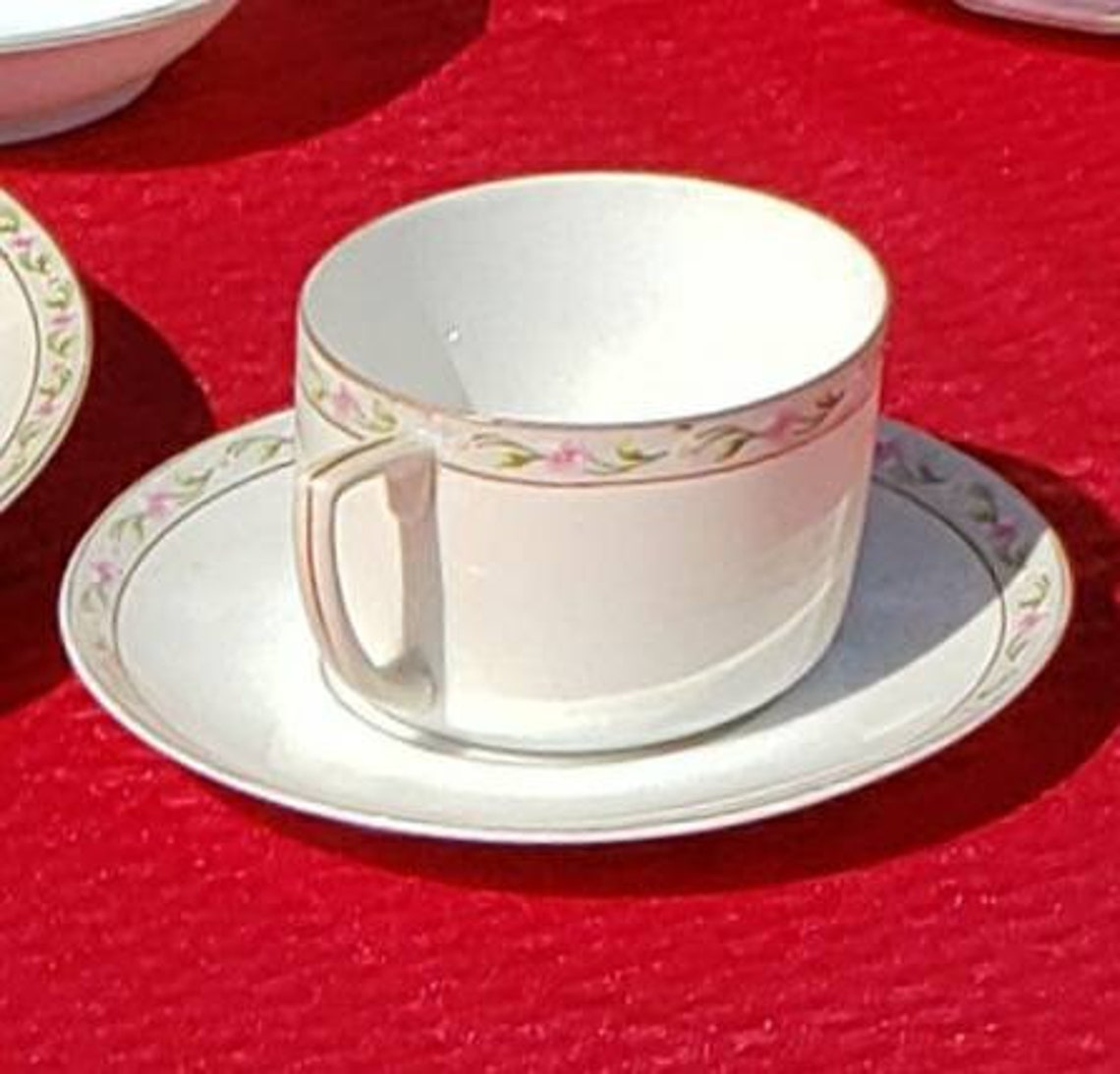 Cup and Saucer Set 5 Antique Fine China MZ Austria Dinnerware Etsy