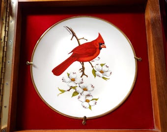 Exhibidor de placa de pared, gabinete Shadowbox, madera de cerezo, latón, decoración rústica para el hogar con opción de placa de cardenal Avon, almacenamiento de placa de coleccionista conmemorativa