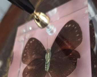 Portalápices de escritorio con forma de mariposa, acrílico vintage, polilla real, decoración para oficina y hogar, suministros de organización. El bolígrafo necesita recarga.