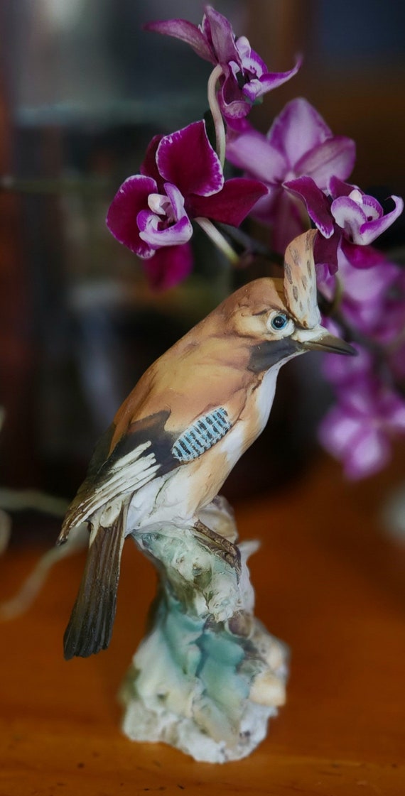 TAY Bird Rare Eurasian Jay Vintage Porcelain Giuseppe Tagliariol