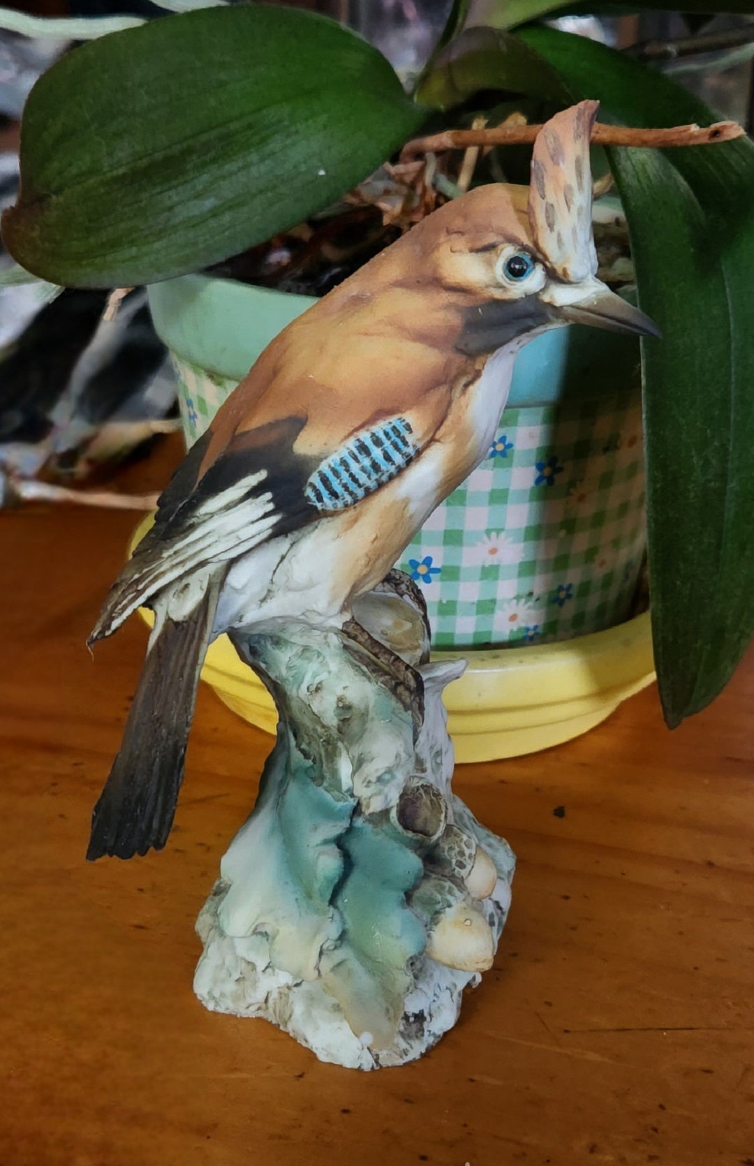 TAY Bird Rare Eurasian Jay Vintage Porcelain Giuseppe Tagliariol