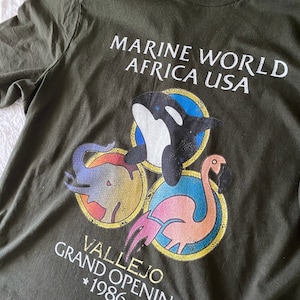 Vallejo T Shirt Etsy