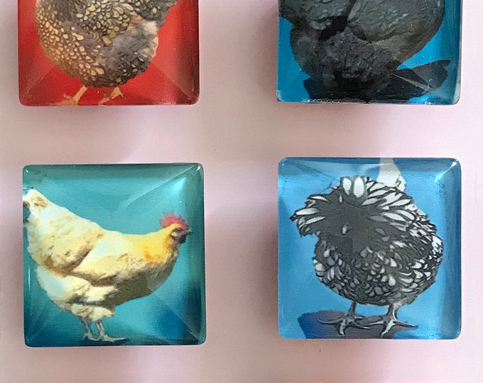 Chick Etsy