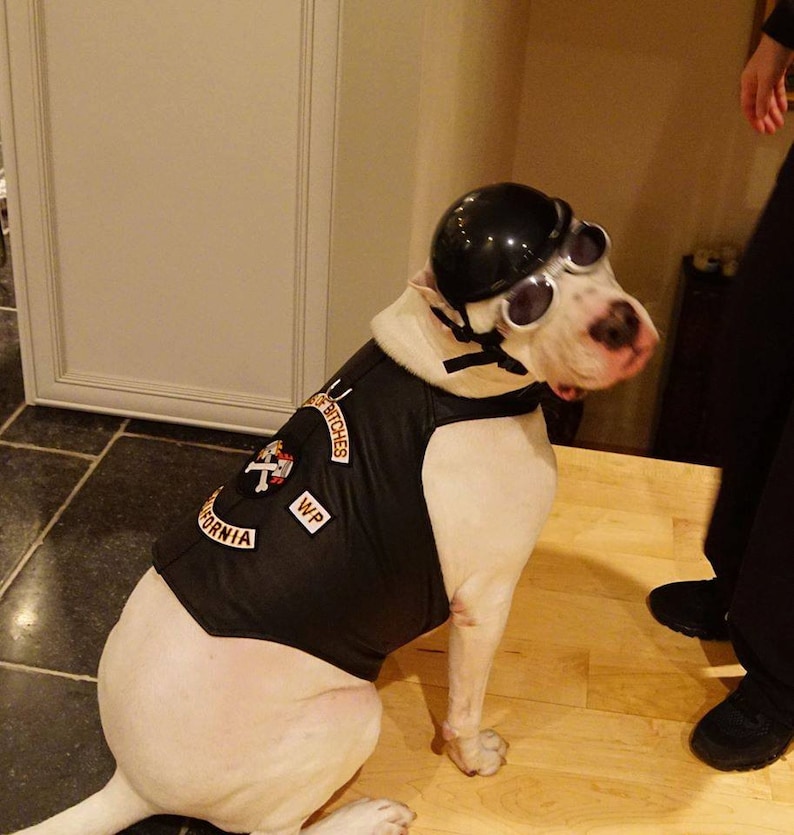 Real Leather Sons of Bitches Dog Biker Vest Jacket Etsy