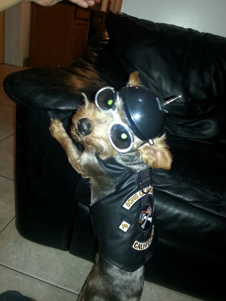 Real Leather Sons of Bitches Dog Biker Vest Jacket Etsy