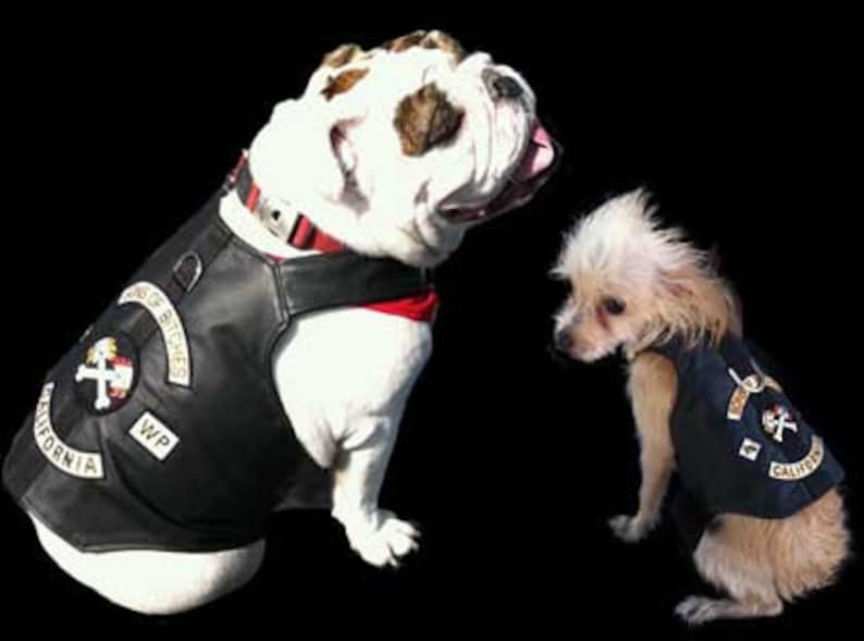Real Leather Sons of Bitches Dog Biker Vest Jacket Etsy